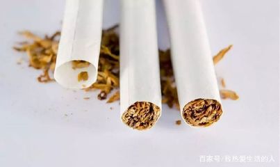 傳統煙草 歷史淵源與現代審視